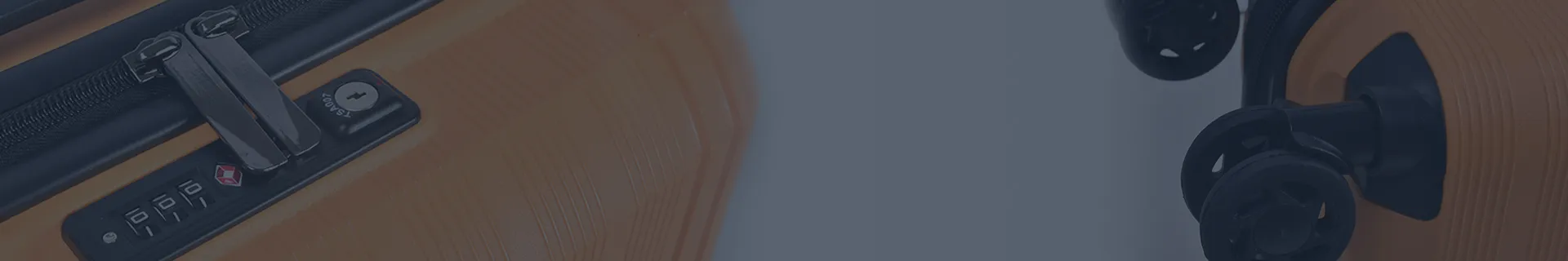 OEM и ODM услуги для чемоданов и дорожных сумок