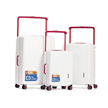Дорожные чемоданы (чемоданы для сдачи в багаж)