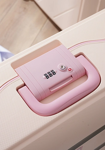 Усиленная система безопасности с TSA-замком