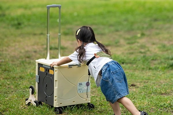 Складные ящики-тележки на колесах