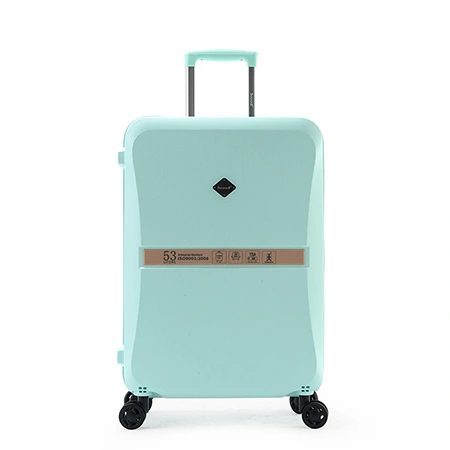 Багажный чемодан