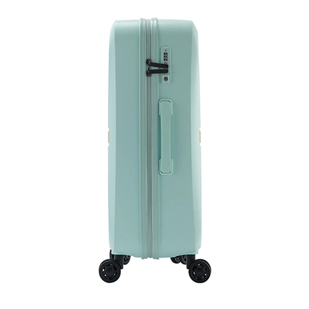 Багажный чемодан