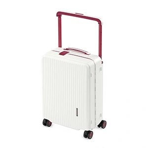 Багажный чемодан