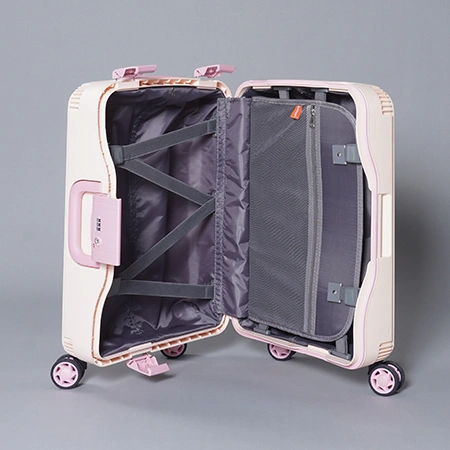 Багажный чемодан