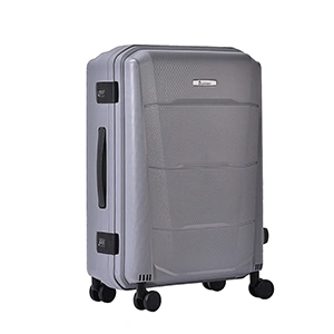 Багажный чемодан