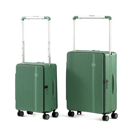 Багажный чемодан