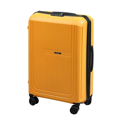 Багажный чемодан