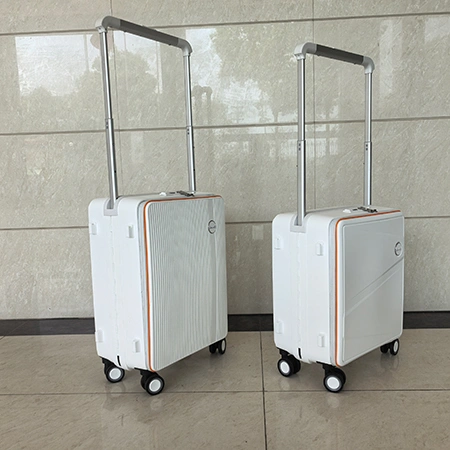 Багажный чемодан